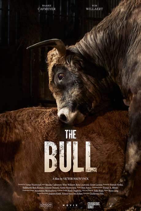 The Bull